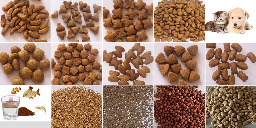 pet feed production line